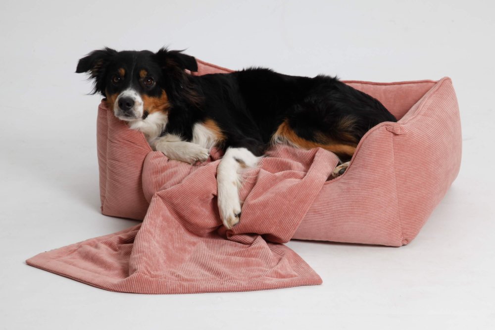 Hundebett Box Bett Chelsea Cord rosa