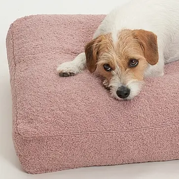 Dog Bed Cushions <small>(no border)</small>