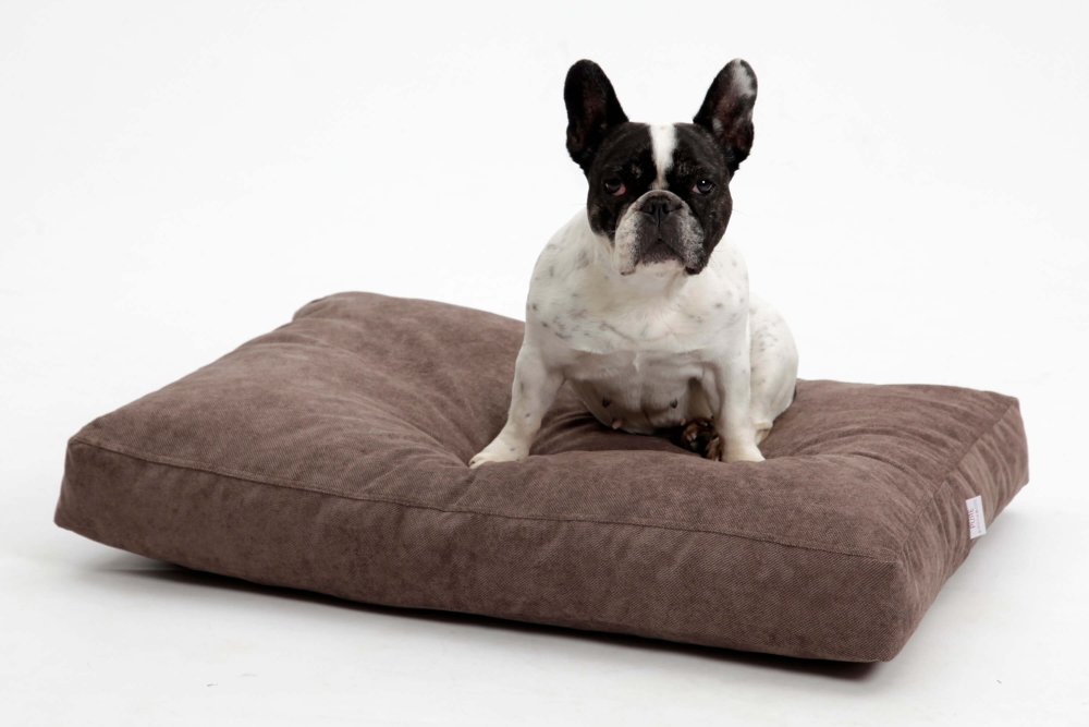 Dog Bed Cushion Madison brown