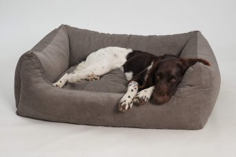 Dog Bed Madison stone