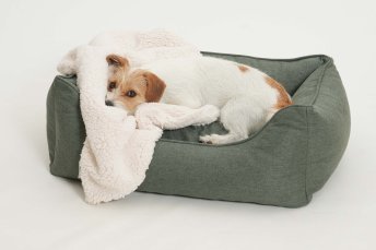 Mobile Preview: Dog Bed Ono sage