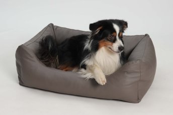 Mobile Preview: Hundebett Box Bett Saddle Kunstleder taupe