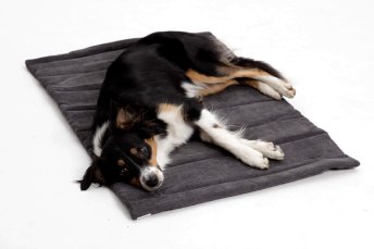 Mobile Preview: Travel Mat / Travel Bed Madison anthracite grey